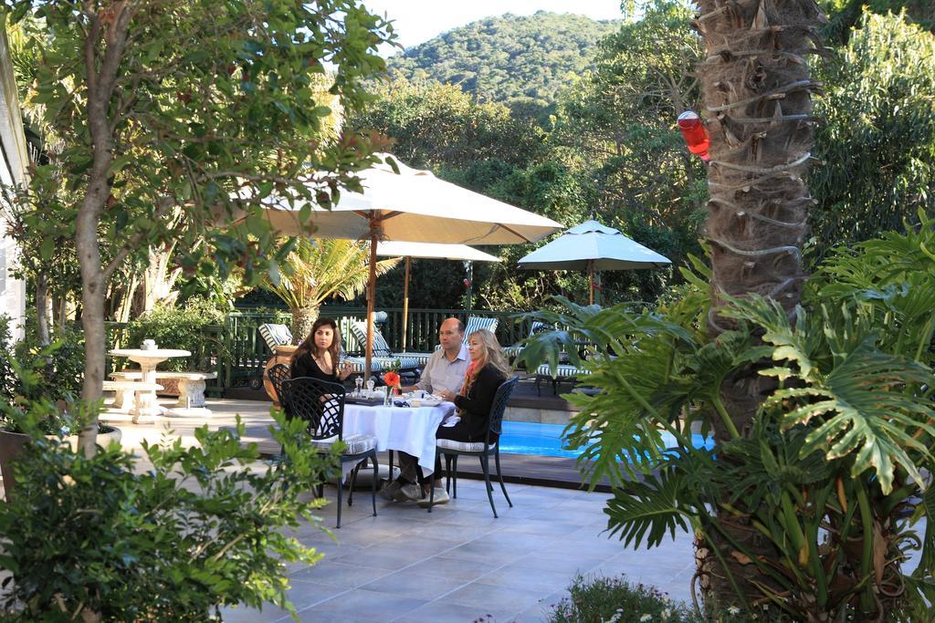 Cinnamon Boutique Guest House Wilderness Ngoại thất bức ảnh